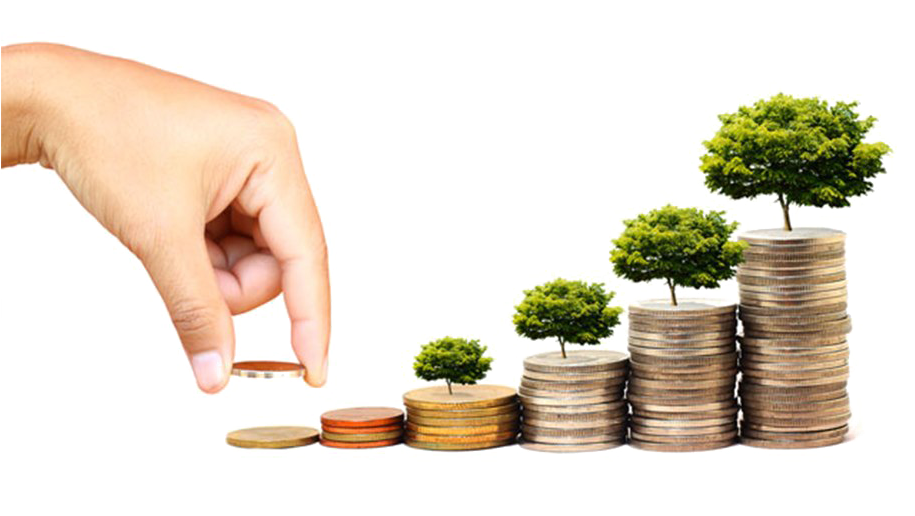 Mutual fund growth